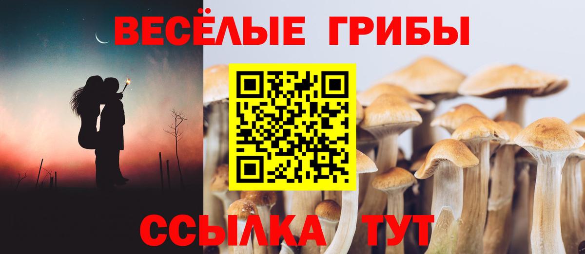 Галлюциногенные грибы GOLDEN TEACHER Кунгур