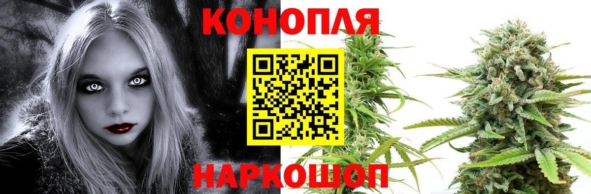Шишки марихуана THC 21%  Бошки марихуана тримм  Вход с VPN  Кунгур  Бошки Шишки тримм  Канабис White Widow 